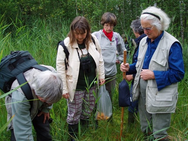 2007-07-A la découverte du Marais du Cerisaie